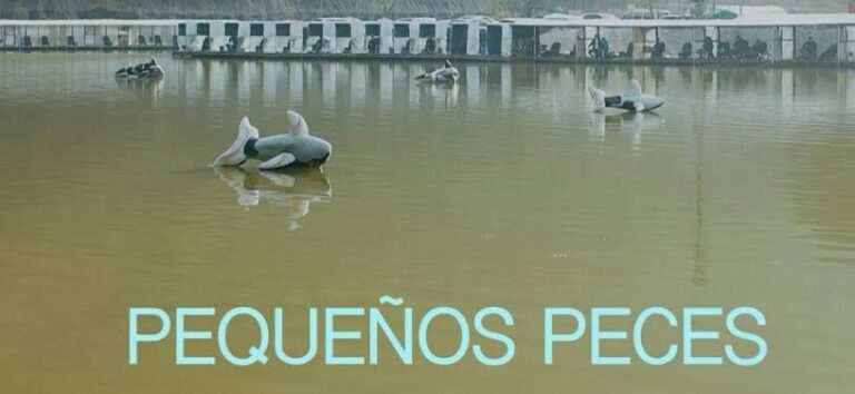 Domingo de películas en la Cineteca Rosalío Solano