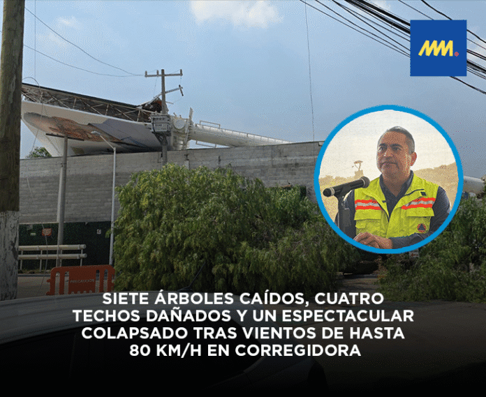 491946425_988380756812087_6819001251202689352_n (1) Siete árboles caídos, cuatro techos dañados y un espectacular colapsado tras vientos de hasta 80 km/h en Corregidora