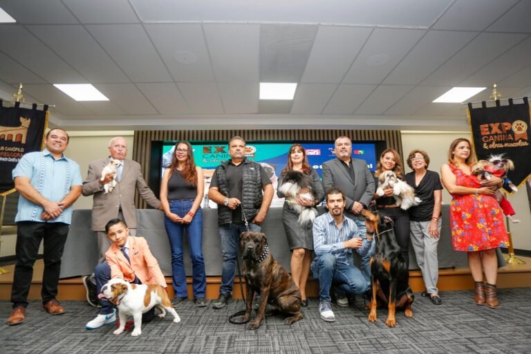 Expo Canina 2025 celebra 23 años con exhibiciones, competencias y más de 500 ejemplares en el QCC