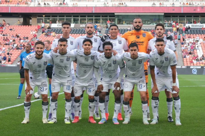 gallos 04