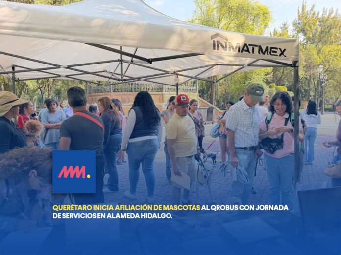 mascotas-001-