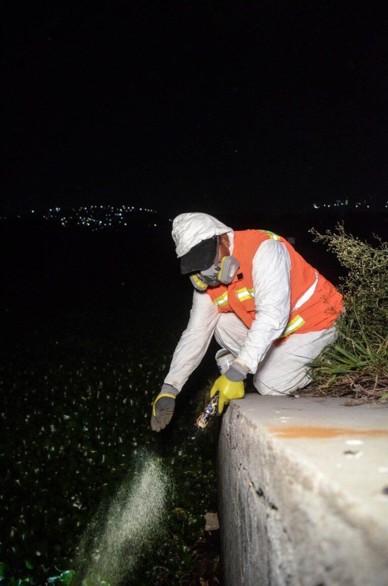 Refuerzan acciones contra mosquitos en Querétaro 2000 y colonias cercanas