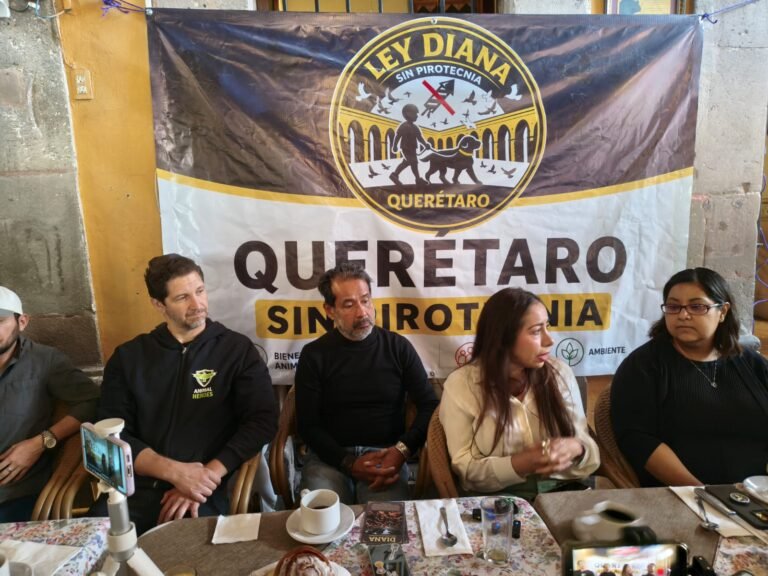 Activistas impulsan iniciativa ciudadana para prohibir la pirotecnia en eventos municipales de Querétaro